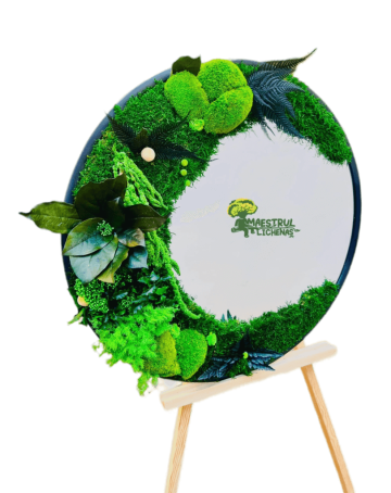 Oglinda cu rama neagra, decorata cu muschi naturali de la Academart World Design Srl
