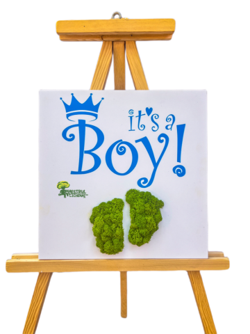 Tablou It's A Boy decorat cu licheni naturali de la Academart World Design Srl
