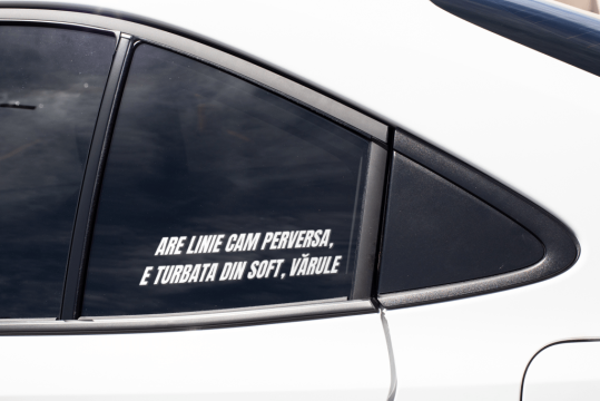 Sticker auto - are linie cam perversa varule de la Elvis Fit Enterprises Srl