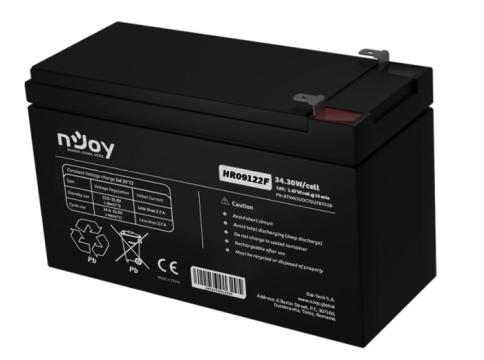 Acumulator UPS, 12V, F2 (T2), PB-ACID AGM de la Discret Spy Srl