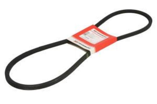 Curea transmisie V-Belt AV13 (13x10x1250mm)