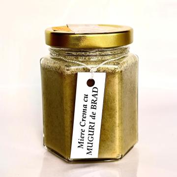 Miere crema cu muguri de brad Sibiu Romania