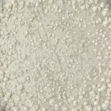 Colorant alb, 30g Ilpa de la RH Commodities
