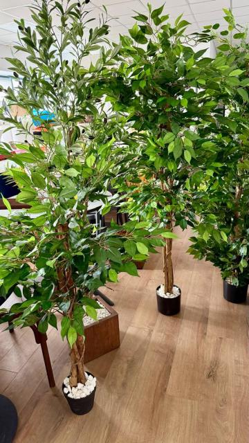 Pomisori ornamentali de la M.F.L. Contract Services Srl