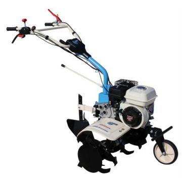 Motosapa Premium AGT 6500 GP160 cu motor Honda 5.5 Cp