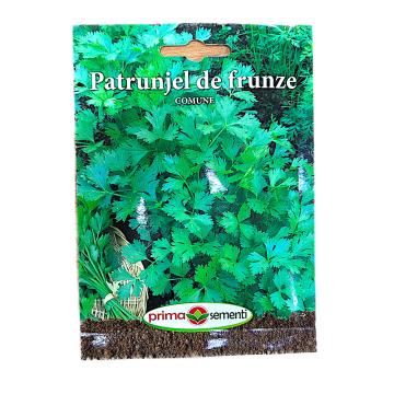 Seminte patrunjel frunze Comune 5 gr, Prima Sementi